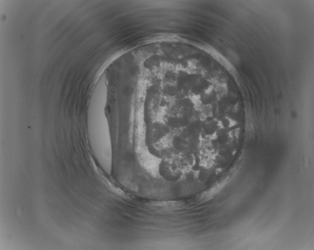 X0000067400953200604281904