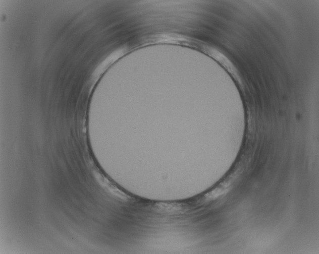 X0000067400954200604281904