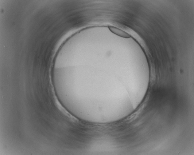 X0000067400958200604281904