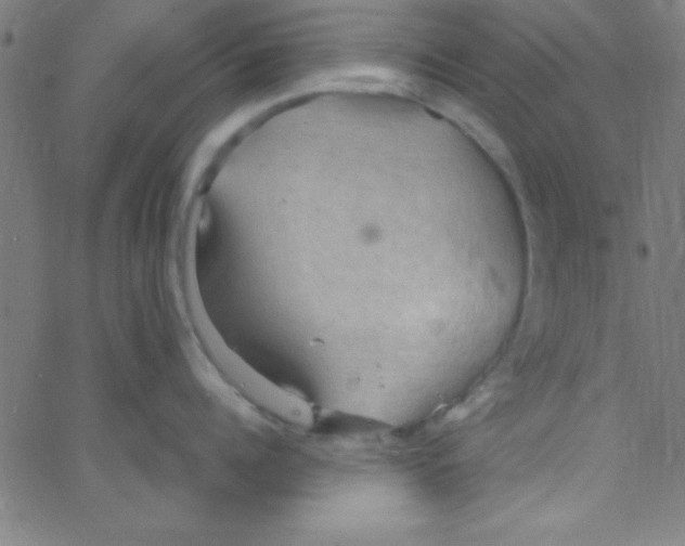 X0000067400960200604281904