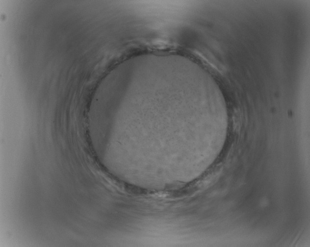 X0000067400961200604281904