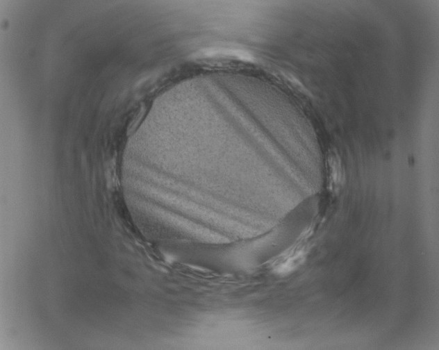 X0000067400965200604281903