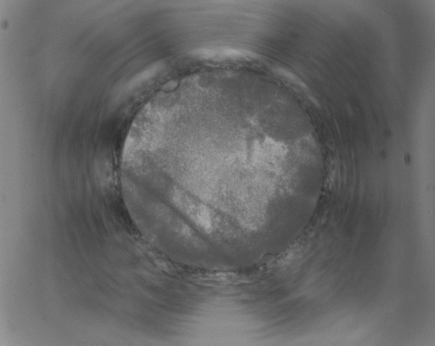 X0000067400966200604281903