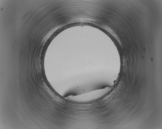 X0000067400972200604281903