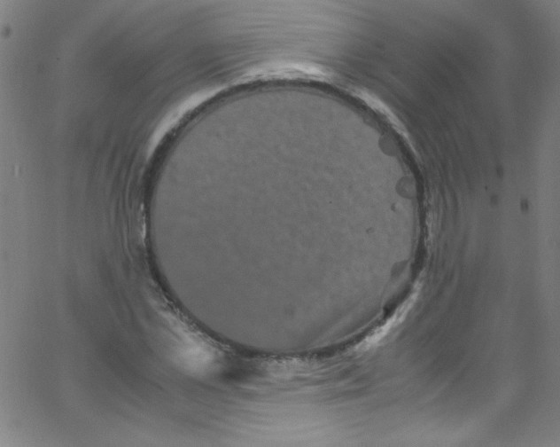 X0000067400973200604281903