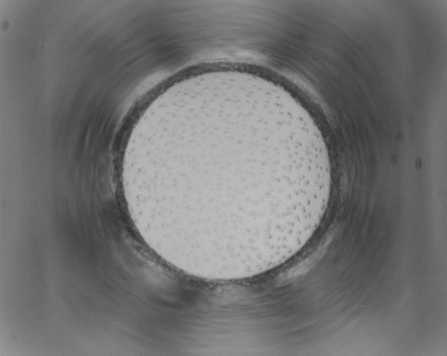 X0000067400974200604281903