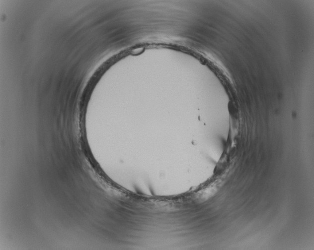 X0000067400976200604281903