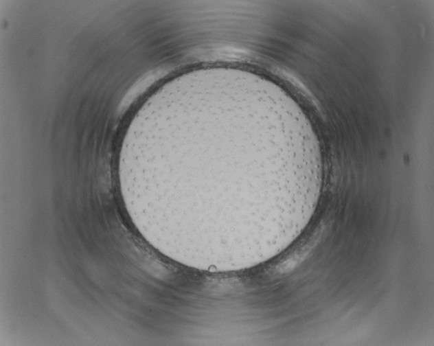 X0000067400978200604281903