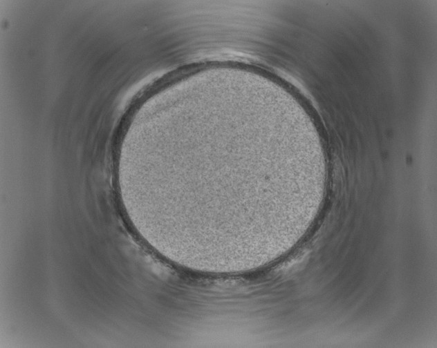 X0000067400979200604281903