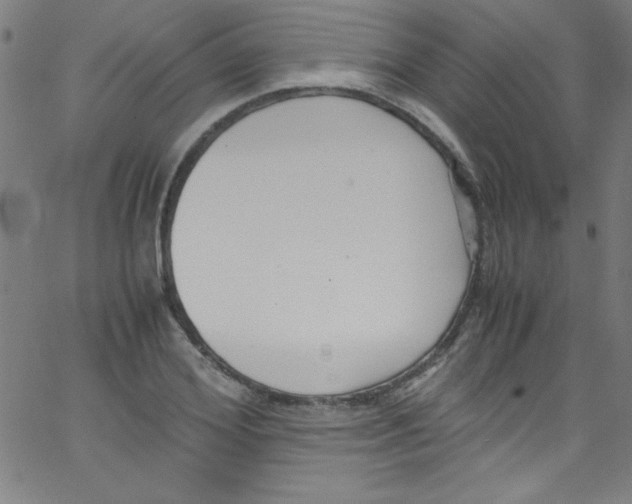 X0000067400980200604281903