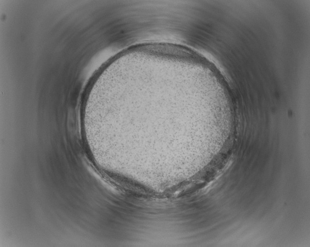 X0000067400982200604281903