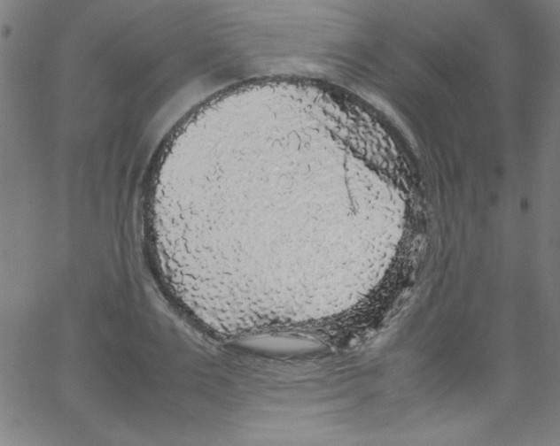 X0000067400983200604281903