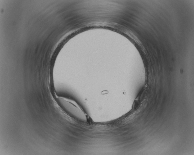 X0000067400984200604281903