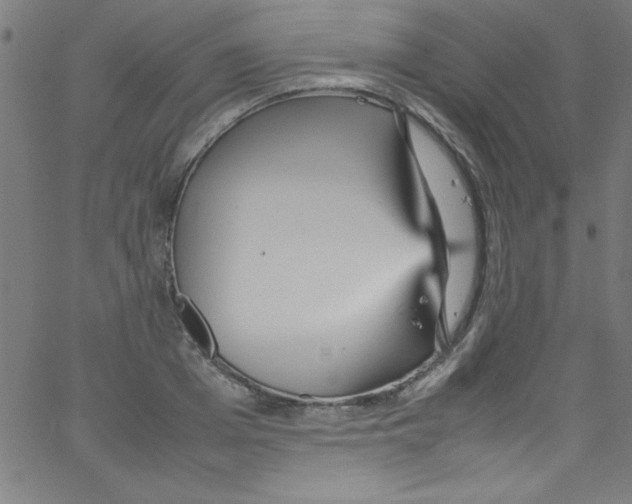 X0000067400985200604281903