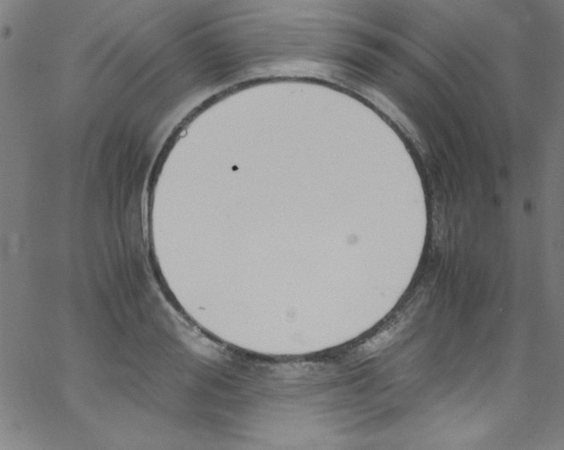 X0000067400988200604281903