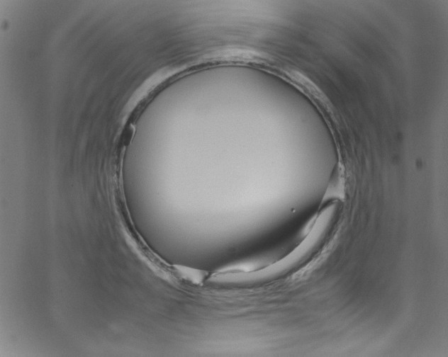 X0000067400989200604281903