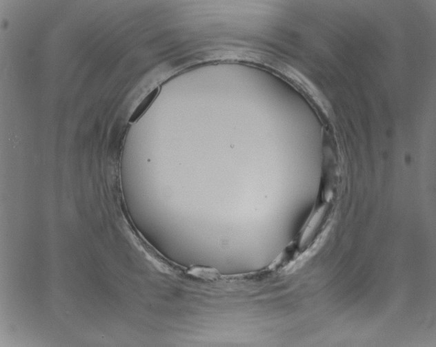 X0000067400993200604281903