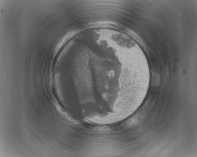 X0000067400994200604281903