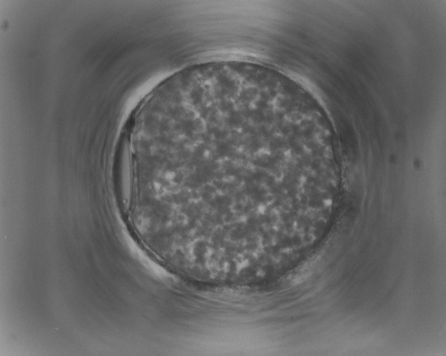 X0000067400995200604281903