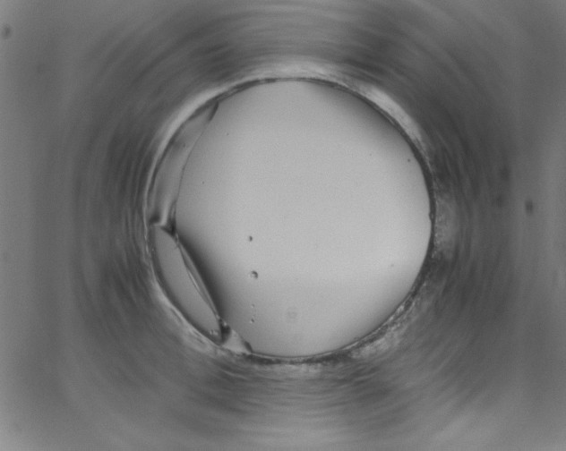 X0000067400996200604281903