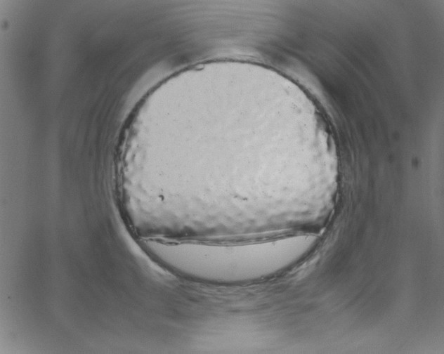 X0000067400999200604281903