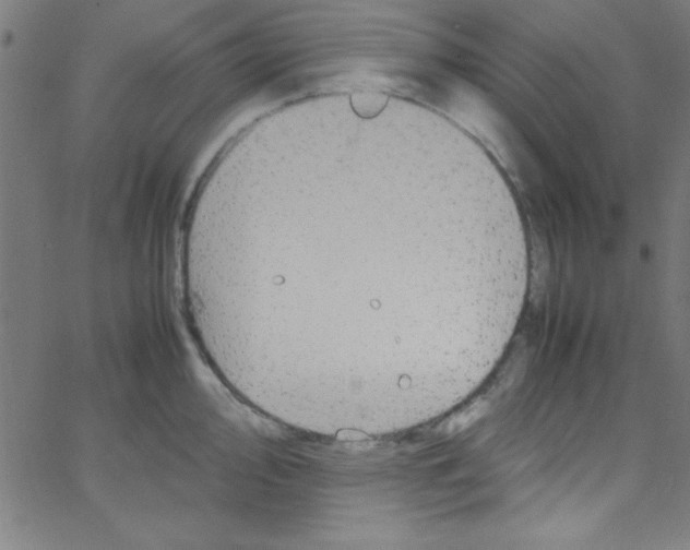 X0000067401000200604281903