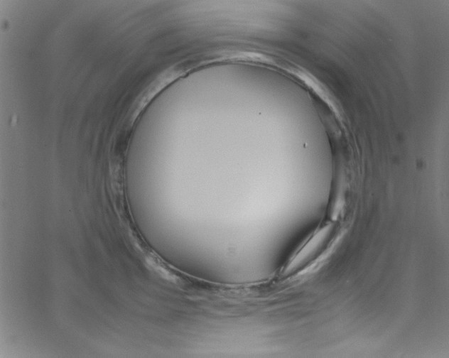 X0000067401001200604281903