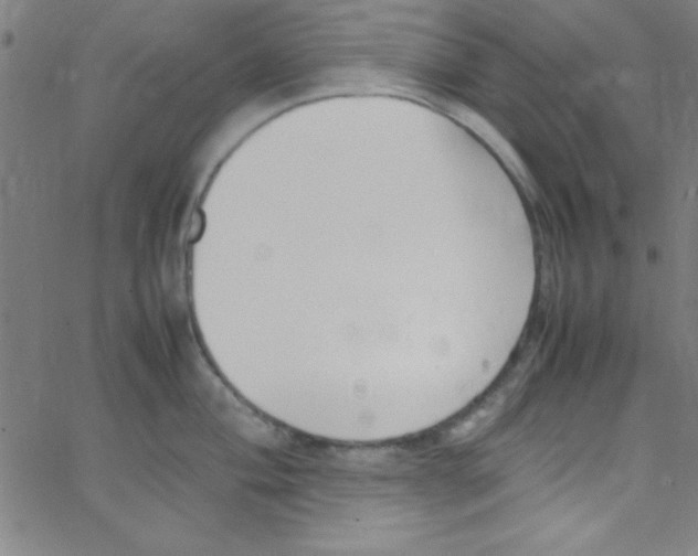 X0000067401004200604281903