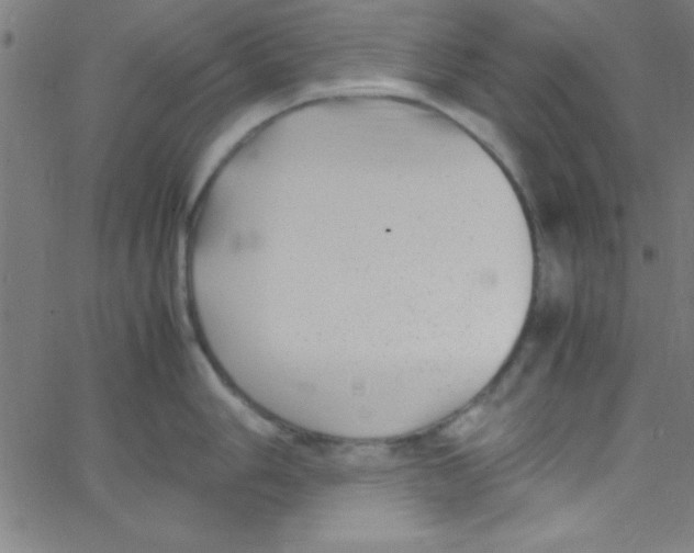 X0000067401006200604281903