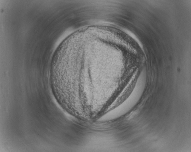 X0000067401007200604281903