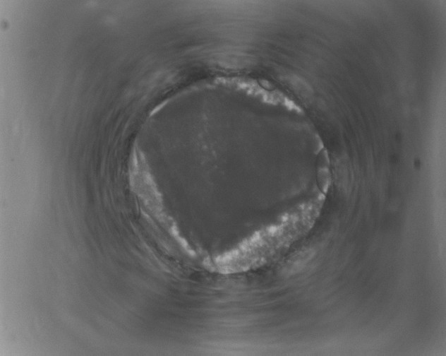 X0000067401009200604281902