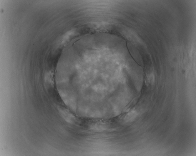 X0000067401010200604281902