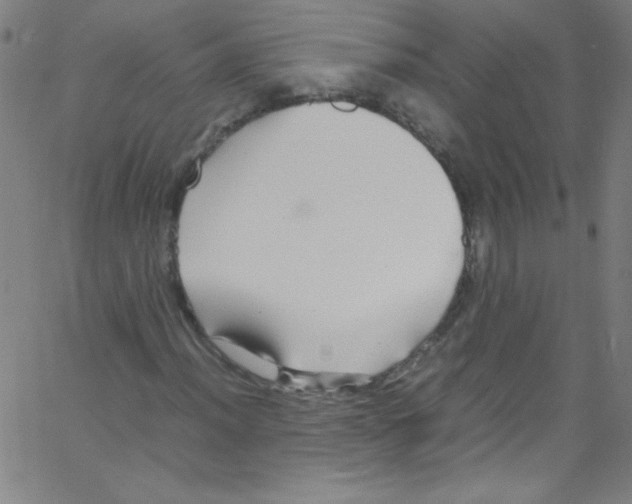 X0000067401012200604281902