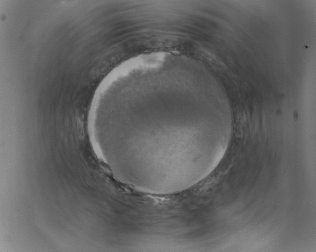 X0000067401013200604281902