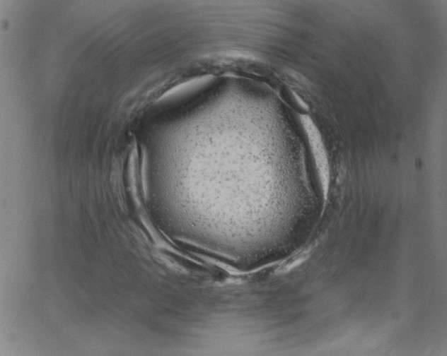 X0000067401014200604281902