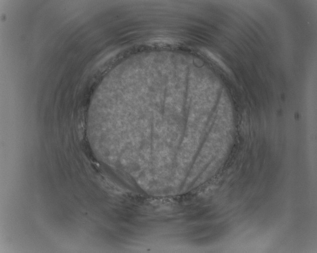 X0000067401015200604281902