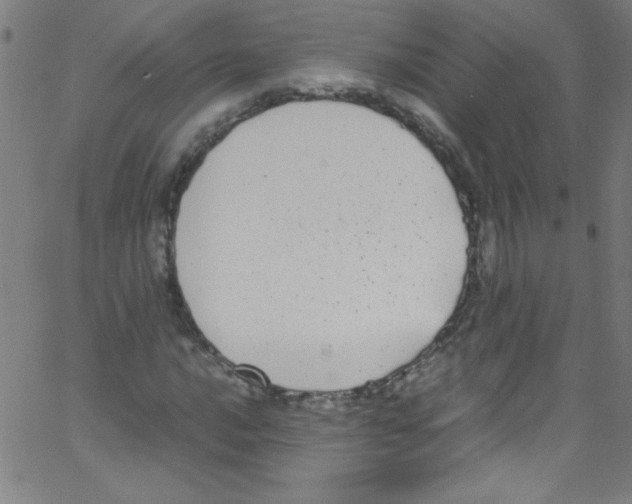 X0000067401016200604281902