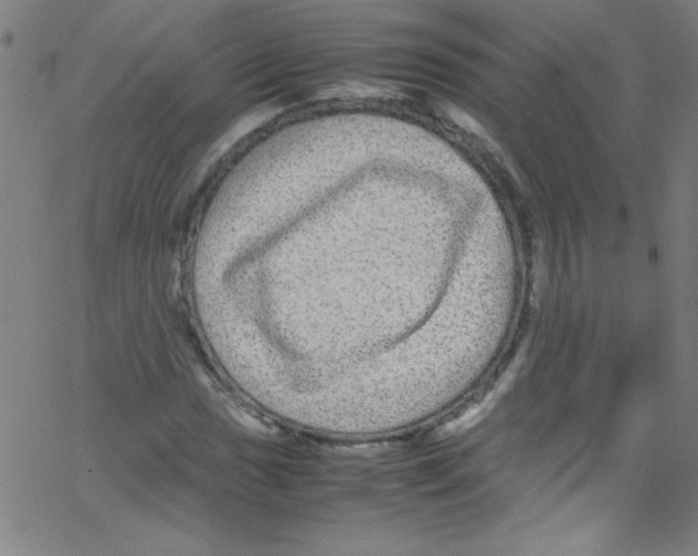 X0000067401017200604281902