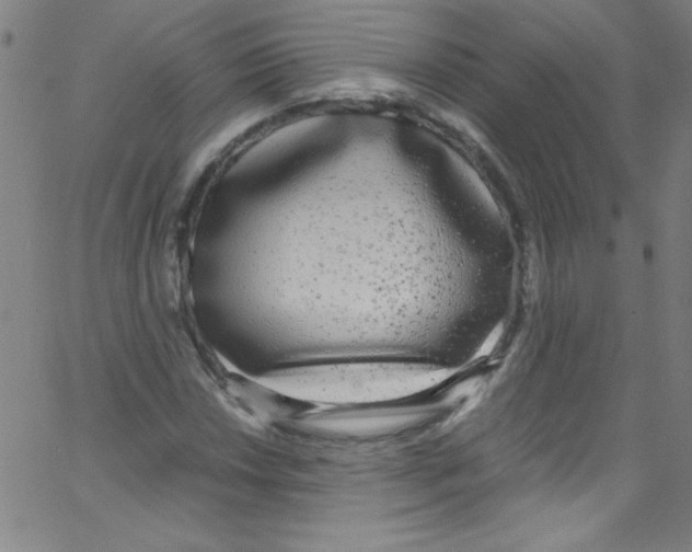 X0000067401018200604281902