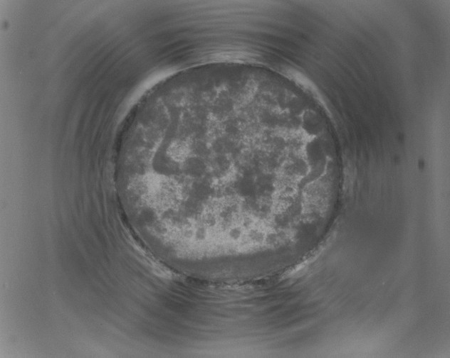 X0000067401019200604281902