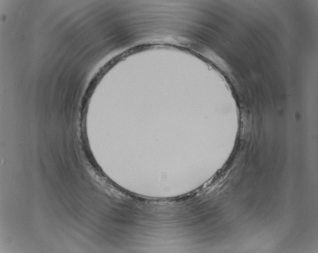 X0000067401020200604281902