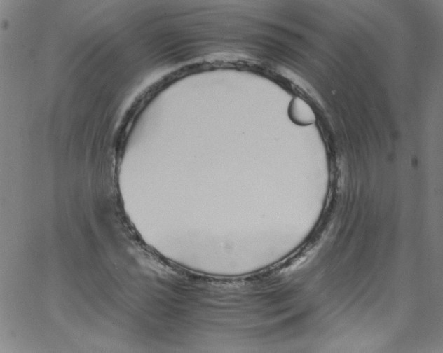 X0000067401021200604281902