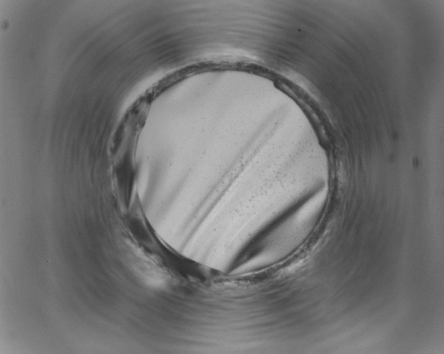 X0000067401022200604281902