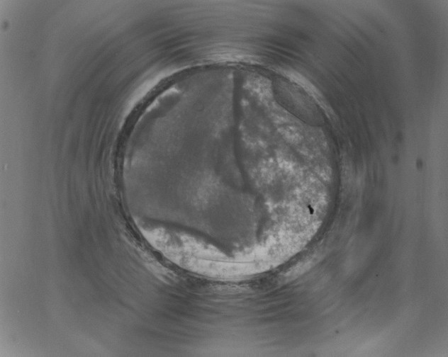 X0000067401023200604281902