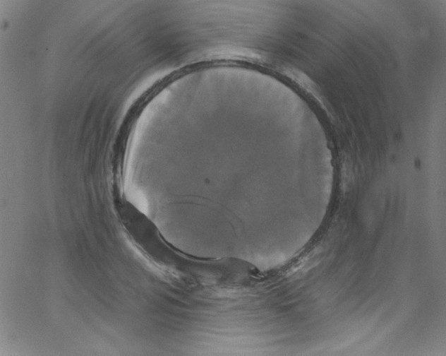 X0000067401024200604281902