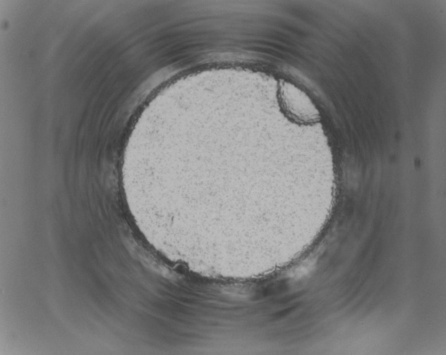 X0000067401025200604281902