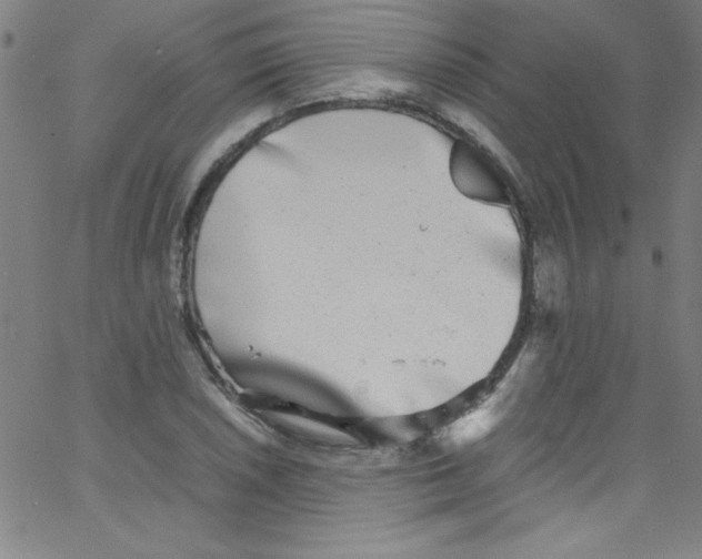 X0000067401026200604281902