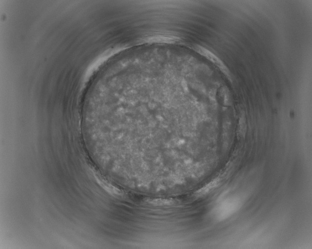 X0000067401027200604281902