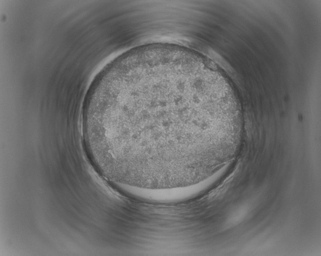 X0000067401028200604281902