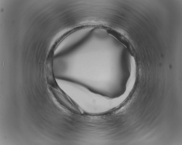 X0000067401030200604281902